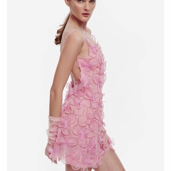 Selezza London Dresses & Skirts - Selezza Pink Floral Appliqué Mini Dress
